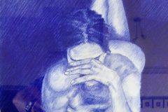 shy 2/3