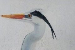 heron